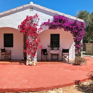 Vinya Alice Espagne